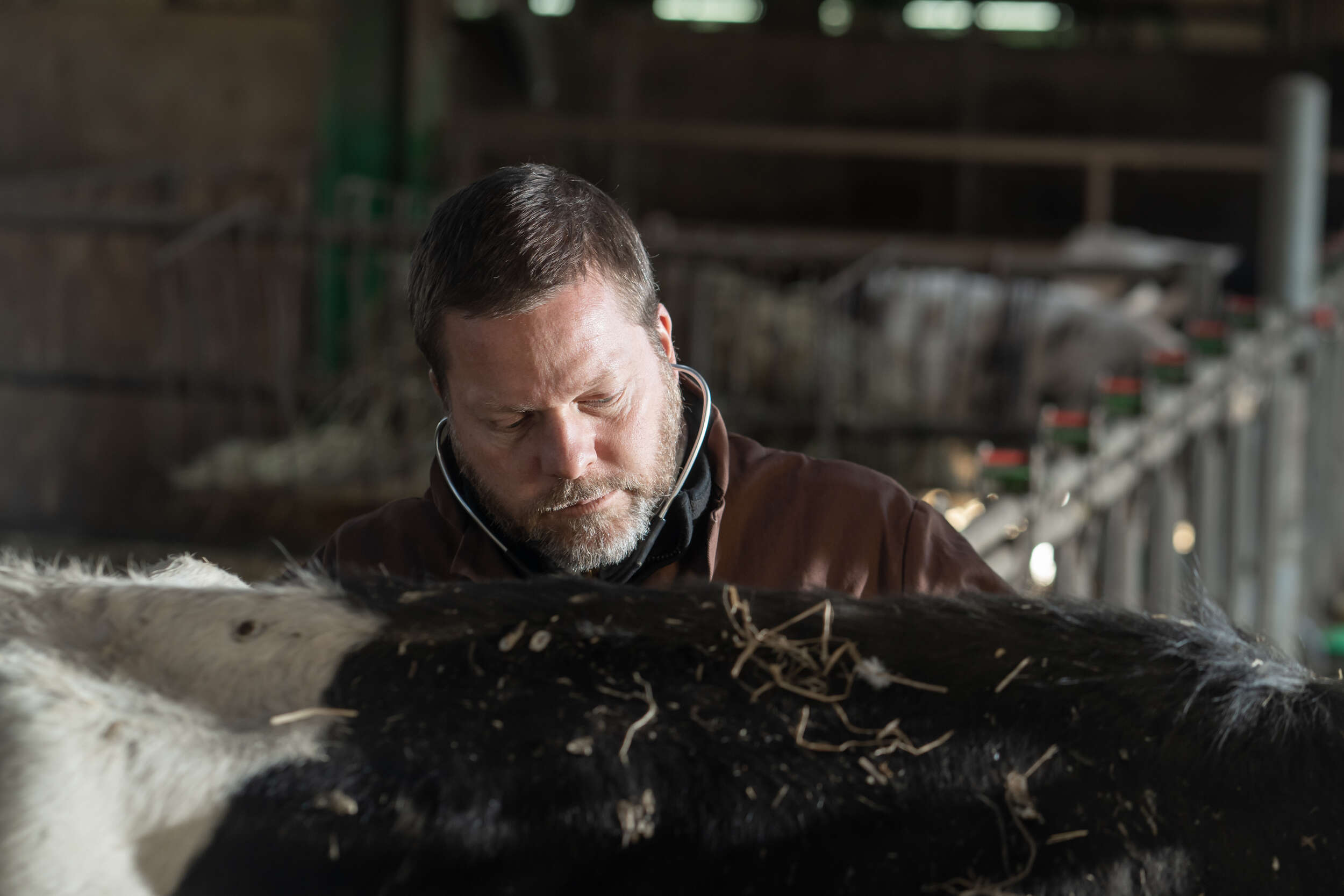 Clinique vétérinaire des Bastides-© G. Alric - Aveyron Attractivité Tourisme