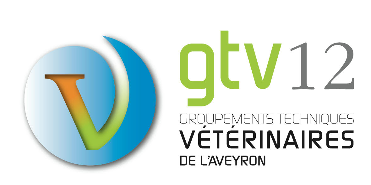 logo - gtv12
